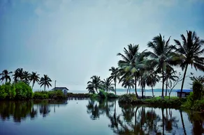 Olam On The Lake - Image 2