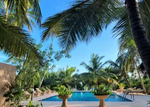 Golden Beach Paradise - Image 2