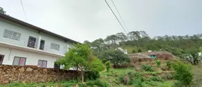 The Green Pine Cottage - Image 3