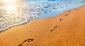 Private Home with Breathtaking Ocean Views - walk to Beaches Restaurants - Image 2