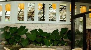 Krazy Gecko Resort - Image 5