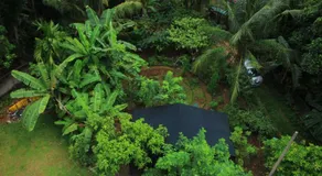 Heritage Eco Resort Kelaniya - Image 4