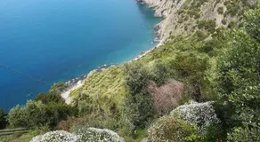 La Ginestra - Image 5