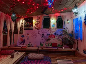 Flamingos - Image 3