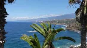 Finca San Antonio - Image 4
