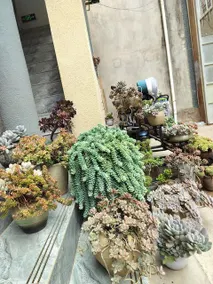 Yumingmingdu Hotel - Image 3