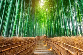 River Side Arashiyama - Vacation STAY 86249v - Image 4