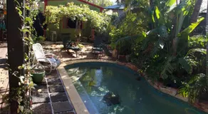 Broome bohemian poolside retreat - Image 3