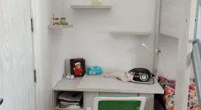 منتجع ازورا الغردقه البحر الاحمر - Image 4