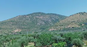 Il Sogno - Image 5