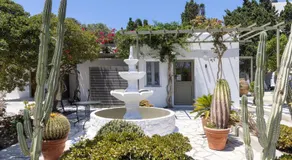 Green Dream Tinos - Image 5