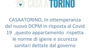 Camerana - Image 4