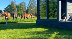 KääraPesa - Image 3
