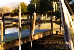 Moon Lake Farm - Image 4