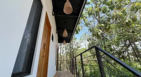 La Jungla - Image 5