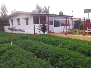 Joni farm house in Ooty - Image 2