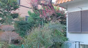 YCS2 Guest house, good access to Shinjuku - Image 4