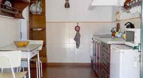 Casinha Robusto - Image 4