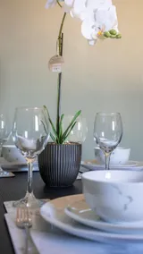 Mercer Apartment - Image 5