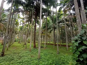 Kabini Farm Stay - Image 4