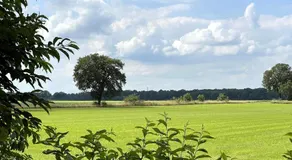 Houten huisje 8 voor Rust Ruimte en Natuur - Image 4
