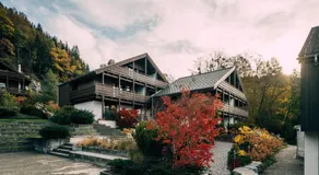 Haslibergoase - Image 3