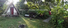 The Forest Cabin - Image 4