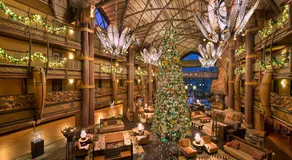Disney's Animal Kingdom Villas - Kidani Village - Image 2
