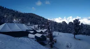 Camping at Serene Chopta - Image 2