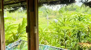 Canjahawon Nipa Hut Homestay - Image 4
