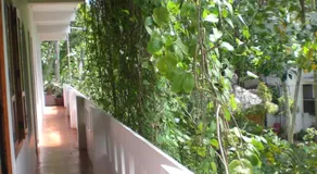 Jickys Nest - Image 5