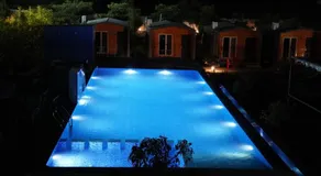 Bijaspur Royale Tree Resort - Image 2