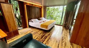 Sweet Jungle - Image 2