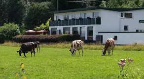 WALDHOTEL - Image 3
