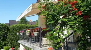 FaDóra Apartman - Image 4