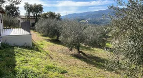 AGRITURISMO VIGNA DE' LUCERI - Image 4