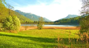 Ferienwohnungen Maurer Höhenberg - Image 5