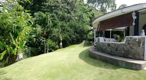 The Reef Palm - Image 4