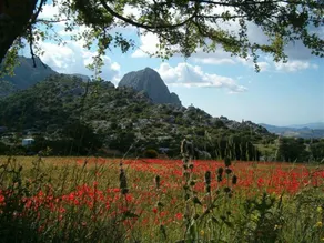 Mountain Hideaway w Pool - Image 5