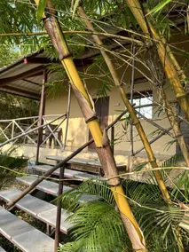 Aranya Phansad Resort - Image 4