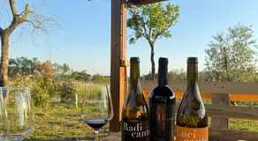 Bed&Wine Terrae Tiferni - Image 3