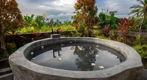 Casa Dewa Villa Ubud - Image 4