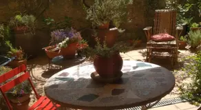 La terraza - Image 5