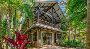 Angourie Palms - Image 3