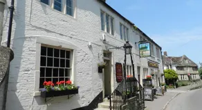 The Old Ham Tree - Image 3