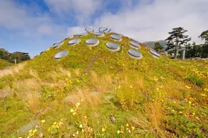 SF King Nest by the Golden Gate Park and Beach with Privet Patio - Image 2