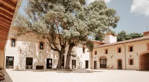 Château de la Busquette - - Image 4