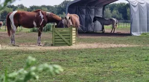 Landgoed de Bossenhoeve - Image 5