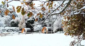Glamping at Honnington Farm - Image 3