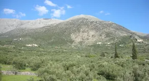 Kafiona Guesthouse - Image 4
